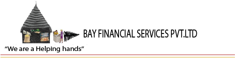 bay_financial_services_logo